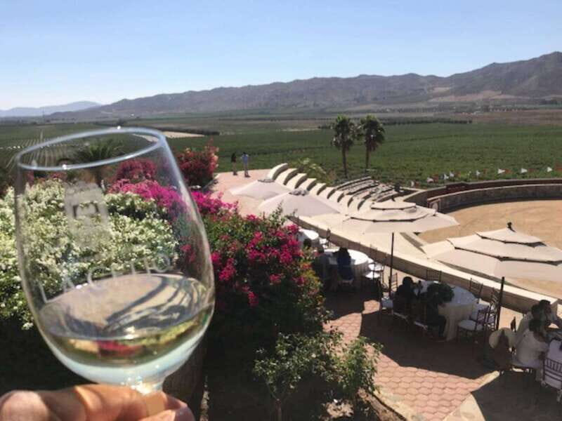 From Tijuana: Valle de Guadalupe Private Winery Tour - What the Reviews Say