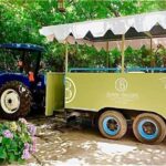 From Tijuana: Valle de Guadalupe Shared Winery Tour - The Full Experience: What You Can Expect