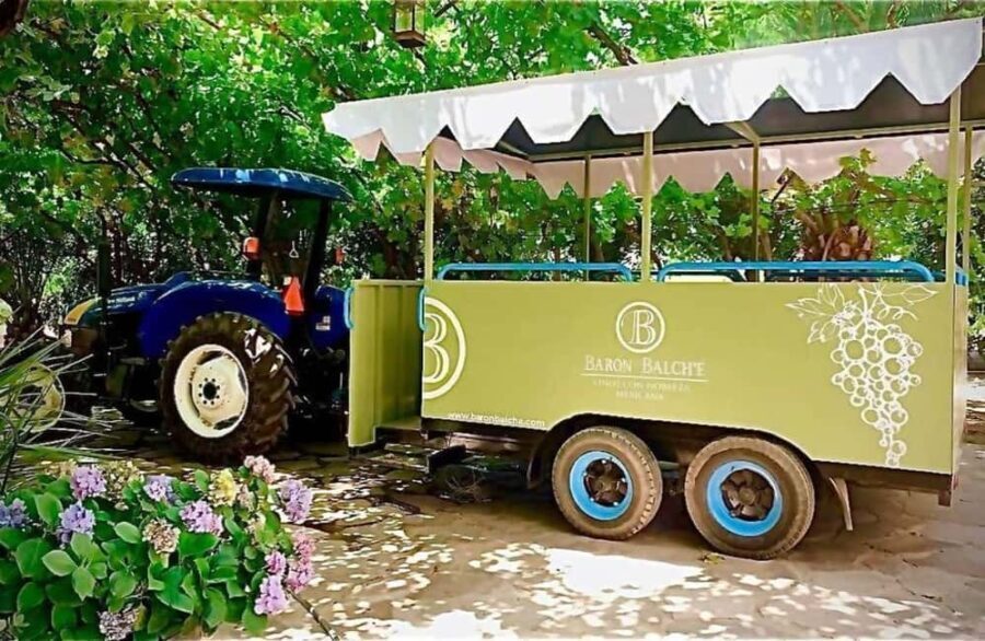 From Tijuana: Valle de Guadalupe Shared Winery Tour - The Full Experience: What You Can Expect