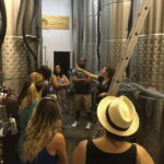 From Toronto: Niagara Wine Tours - Malivoire Wine Company: A Sustainable Leader