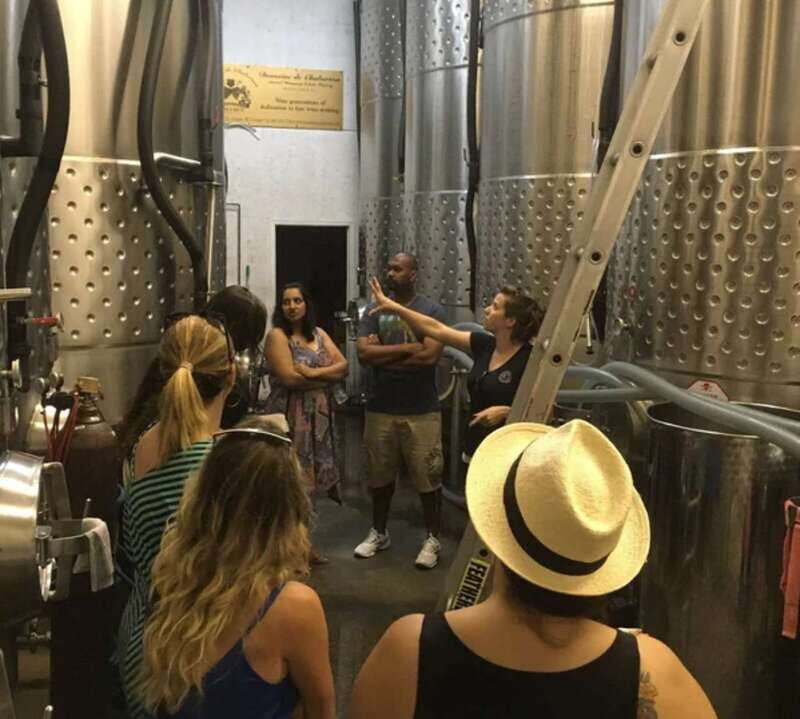 From Toronto: Niagara Wine Tours - Malivoire Wine Company: A Sustainable Leader