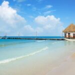 From Tulum: Holbox Island Full-Day Trip with Lunch - Worth the Price? Analyzing the Value