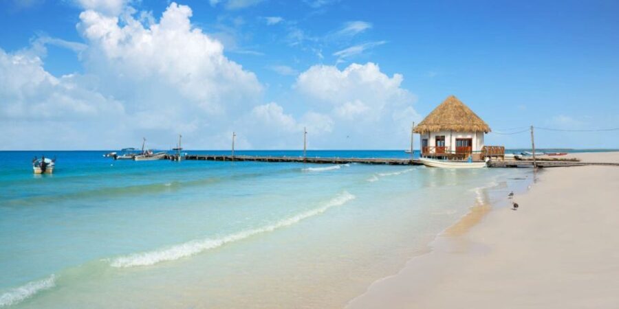 From Tulum: Holbox Island Full-Day Trip with Lunch - Worth the Price? Analyzing the Value