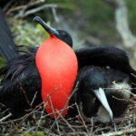 From Tulum: Sian Kaan Boat Trip Adventure with Lunch - What Travelers Say About This Tour
