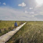 From Tulum: Sian KaAn Muyil Lagoon Tour - Practical Details and What the Tour Includes