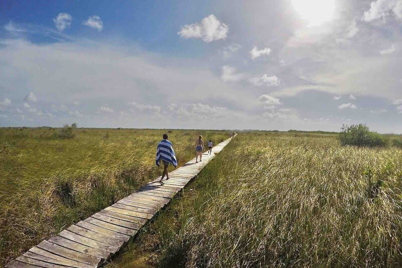 From Tulum: Sian KaAn Muyil Lagoon Tour - Practical Details and What the Tour Includes