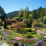 From Vancouver: Butchart Gardens & Victoria Sightseeing Tour - Transportation and Logistics