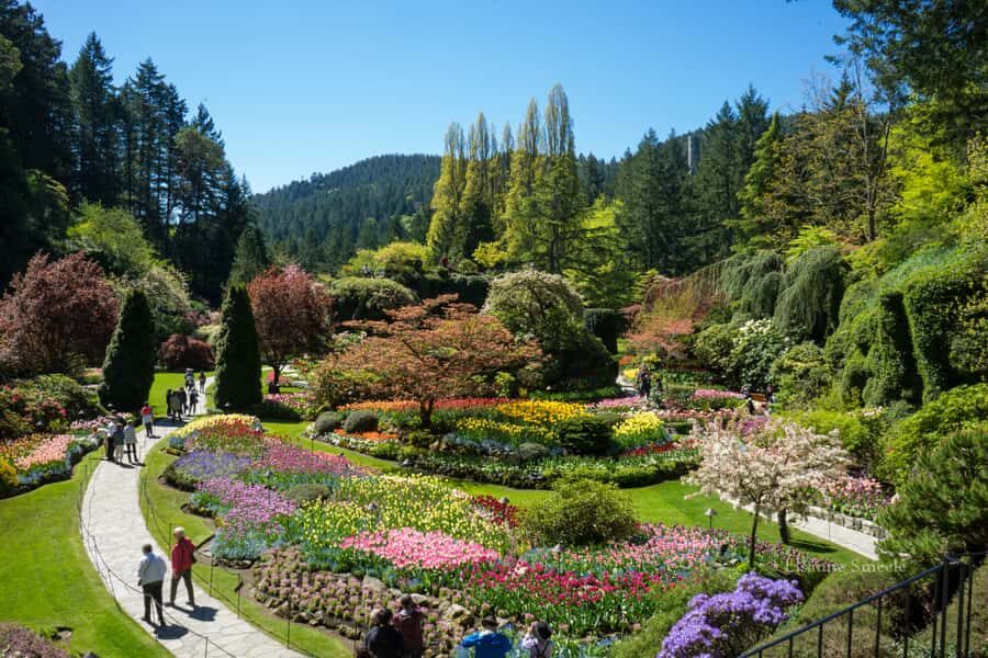 From Vancouver: Butchart Gardens & Victoria Sightseeing Tour - Transportation and Logistics