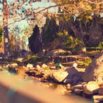 From Vancouver: Professional Photoshoot & Tour - Value and Practicality