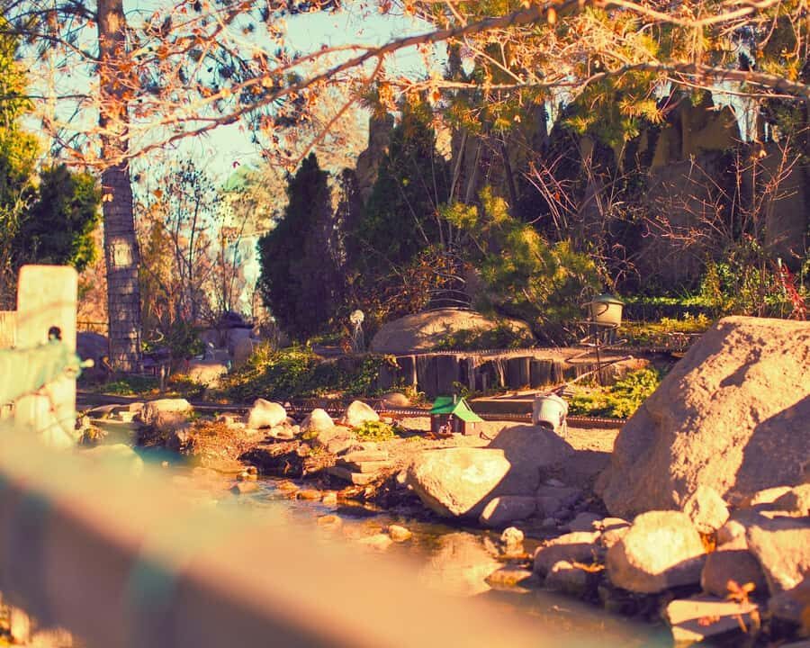 From Vancouver: Professional Photoshoot & Tour - Value and Practicality