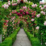 From Vancouver: Victoria & Butchart Gardens Tour with Cruise - Victoria’s Charm: A Mix of Old and New