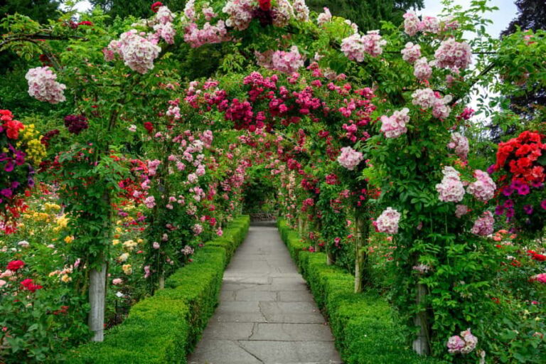 From Vancouver: Victoria & Butchart Gardens Tour with Cruise - Victoria’s Charm: A Mix of Old and New