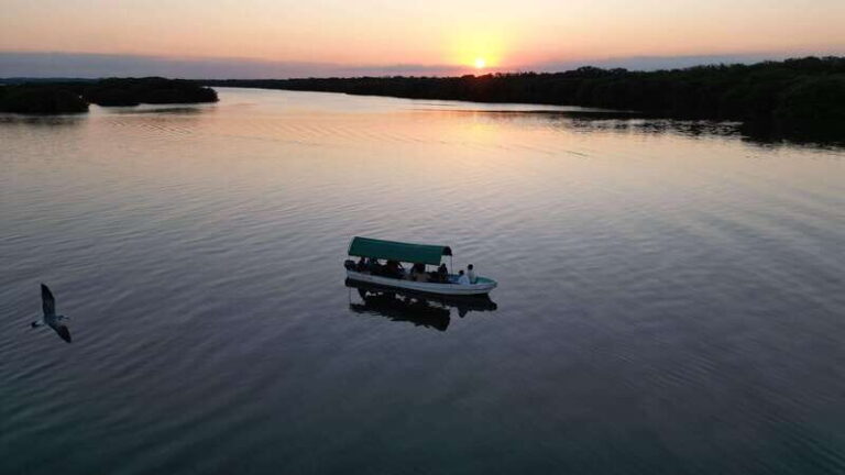 From Veracruz: Nature & Seafood Boat Tour to Madinga - Who Is This Tour Perfect For?