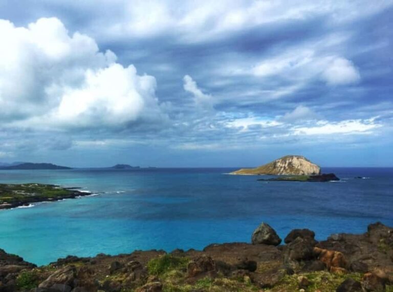 From Waikiki: Oahu Scenic Half-Day Circle Island Tour - Final Thoughts