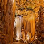 From Washington DC: Day Trip to Luray Caverns - Who Will Love This Tour?