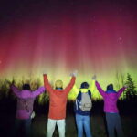From Yellowknife: Aurora Borealis Tour with Cozy Cabin Base - What Makes This Tour Stand Out