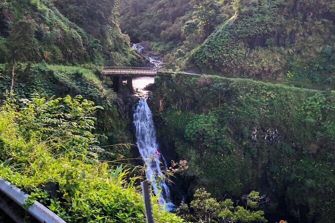 Full-Circle "Reverse" - Luxury Road to Hana Tour from West Maui - The Sum Up
