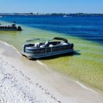Full Day 60HP Pontoon Rental to Shell Island - Practical Details: What You Need to Know