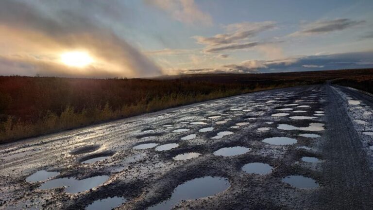 Full Day Arctic Circle Adventure From Fairbanks - Exploring the Details of the Arctic Circle Tour