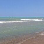 Full-Day Beach Day at Grand Bend - Who Would Love This Tour?
