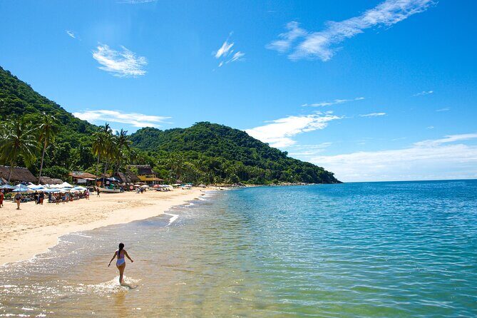 Full Day Boat Tour Animas and Quimixed Arches - The Experience: What You Can Expect
