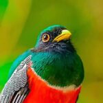 Full Day Bromeliad Forest Tour from Oaxaca - A Detailed Look at the Bromeliad Forest Tour