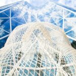 Full Day Calgary City Tour, Calgary Tower, Zoo, & More - Detailed Look at the Itinerary & Attractions