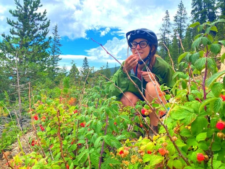 Full Day E-Bike Tour In The Colorado Rockies With Transport - Detailed Breakdown of the Itinerary