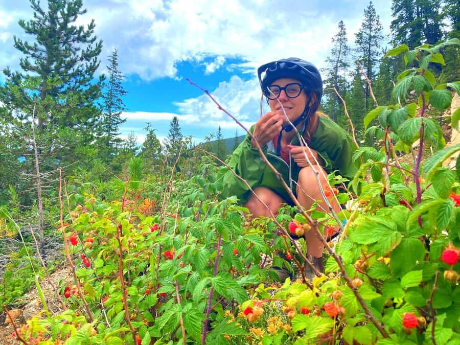 Full Day E-Bike Tour In The Colorado Rockies With Transport - Detailed Breakdown of the Itinerary