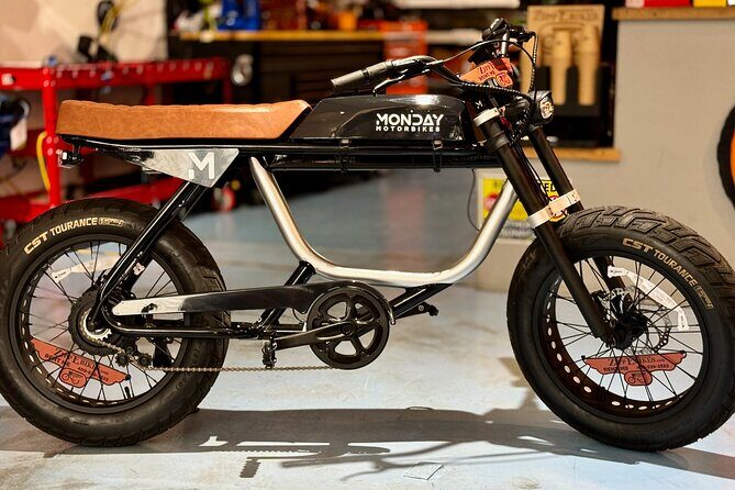 Full Day Electric Bike Rental in Galveston Texas - What Makes This Experience Stand Out