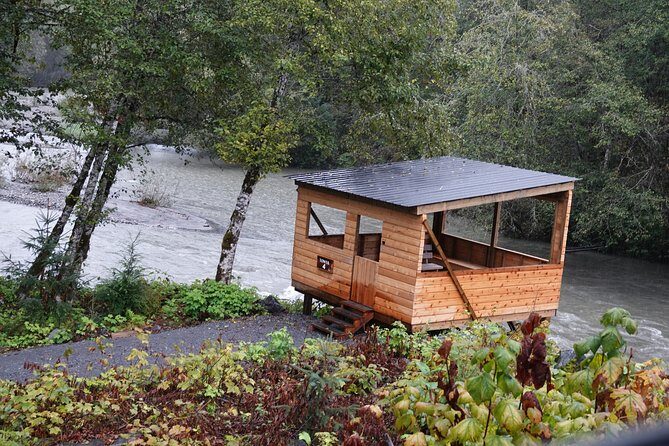 Full Day Grizzly Bear Tour to Toba Inlet - What’s the value here?