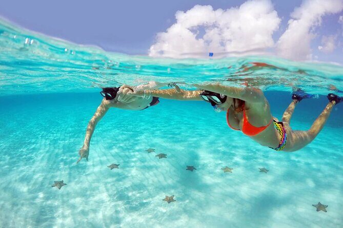 Full Day Guided Experience to El Cielo at Cozumel - What’s Included and What to Expect