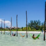 Full Day Holbox Island Tour from Playa del Carmen with Lunch - What Travelers Say