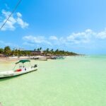 Full Day Holbox Island Tour from Playa del Carmen with Lunch - Who Will Enjoy This Tour?