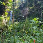 Full Day Island of Maui Private Tour - Who Should Consider This Tour?