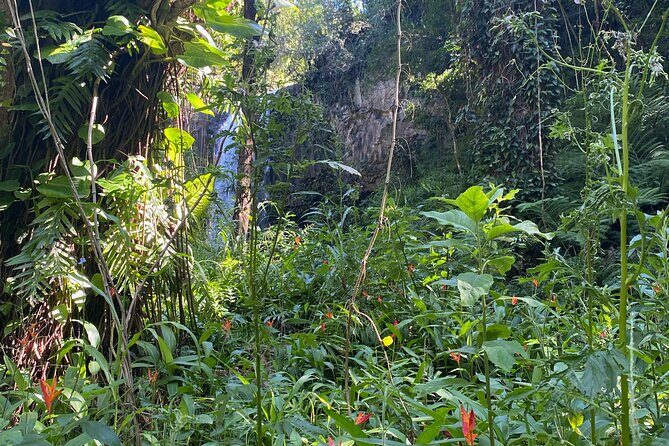 Full Day Island of Maui Private Tour - Who Should Consider This Tour?