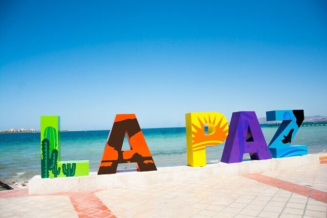 Full-Day La Paz Private Tour from Los Cabos - Why Travelers Rave About This Tour