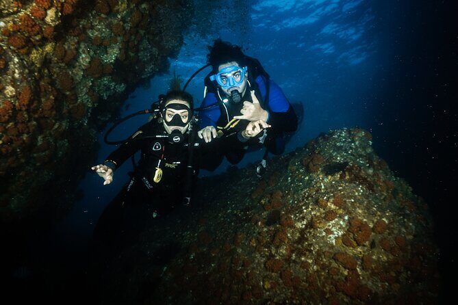 Full Day Private Scuba Diving in Espiritu Santo Island - What’s Included and What’s Not