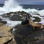 Full Day Private SD Tour from Downtown San Diego - What’s Included and What’s Not