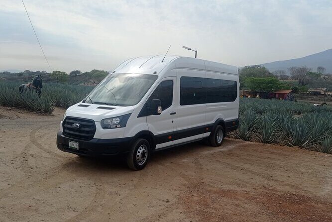 Full-Day Private Tour in Guadalajara - The Itinerary in Detail: What to Expect