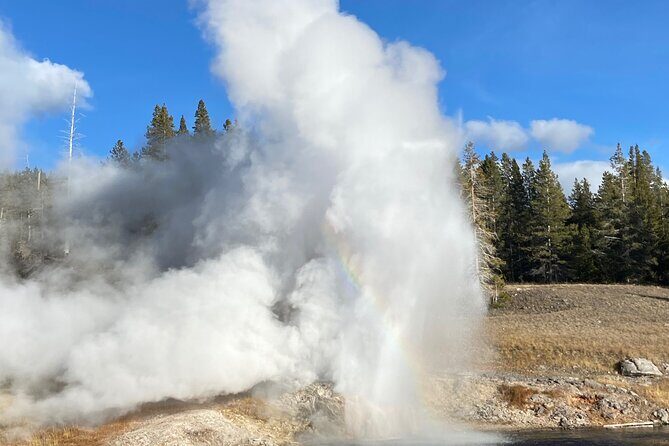 Full Day Private Wildlife/Geyser Tour from West Yellowstone - Overall Value and Experience