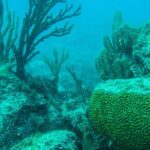 Full-Day Sailing Trip to Mujeres Island from Playa del Carmen - The Pros