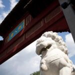 Full-Day small-group Montreal tour with Pickup and a Local Taste - Who Should Skip or Consider Alternatives?