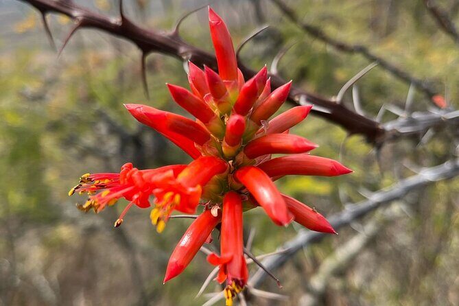 Full Day Teotitlan Del Valle Village Private Tour - Practical Details and What Travelers Should Know