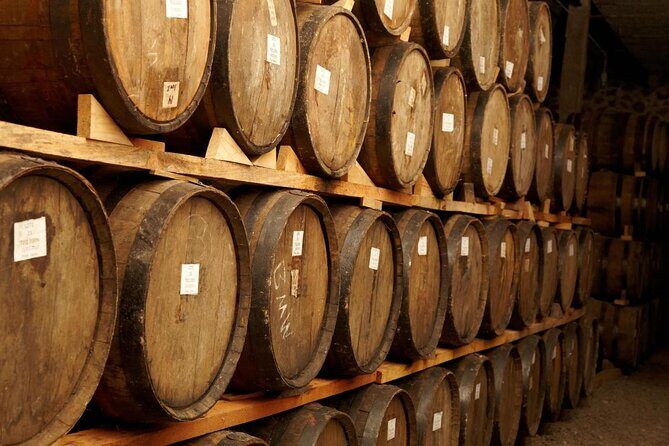 Full-Day Tequila Tour from Guadalajara - A Closer Look at the Itinerary