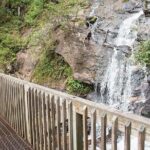 Full Day Tour from Atlanta to Amicalola Falls and Blue Ridge - A Deep Dive into the Itinerary