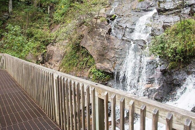 Full Day Tour from Atlanta to Amicalola Falls and Blue Ridge - A Deep Dive into the Itinerary