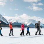 Full Day Tour in Lake Louise and Ice field Parkway - Who Should Consider This Tour?