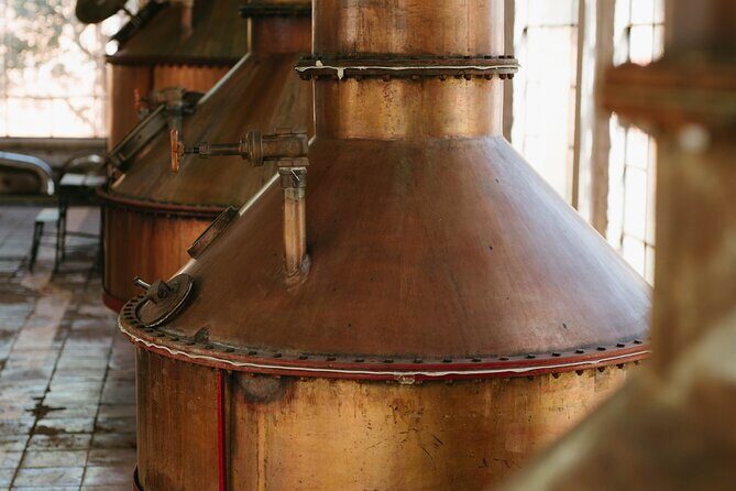 Full-Day Tour in Tequila factory and Cantaritos el Gúero - A Deep Dive into the Tequila Tour