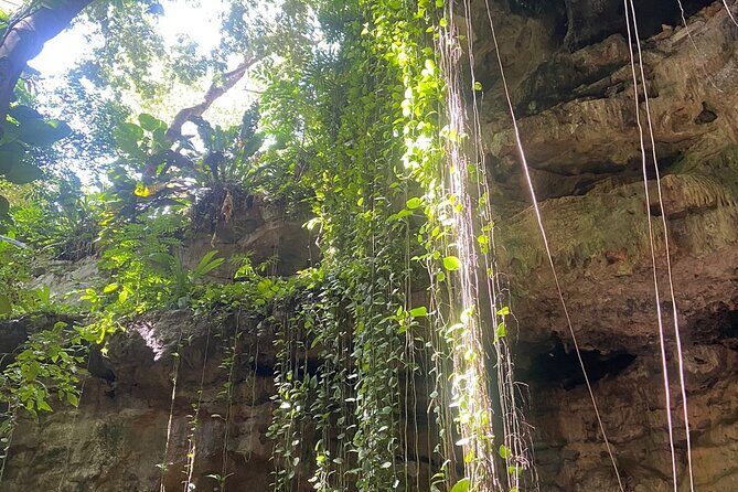 Full Day Tour of 17th Century Hacienda with Cenotes - Practical Details and Tips for Travelers